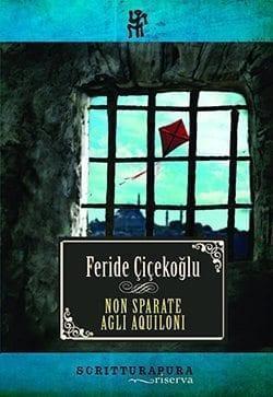 Recensione di Non sparate agli aquiloni di Feride Cicekoglu Recensione di Non sparate agli aquiloni di Feride Cicekoglu