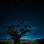 Leggere a Colori intervista l´autrice Sabrina Miso: ebook, editoria, consigli per chi intende pubblicare.