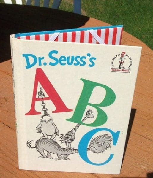 Dr-Seuss-ABC-Book-iPad-Mini-Case