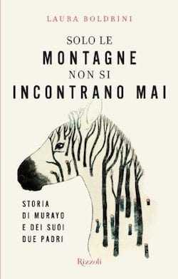 Recensione di Solo le montagne non si incontrano mai di Laura Boldrini