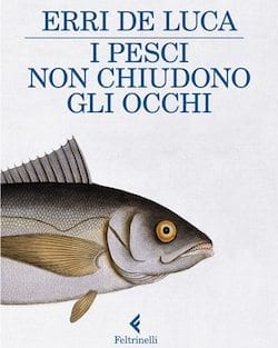 Recensione di I pesci non chiudono gli occhi di Erri De Luca