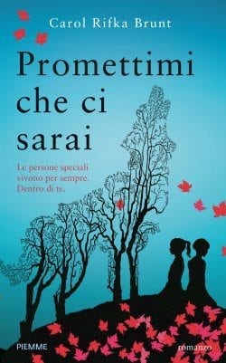 Recensione di Promettimi che ci sarai di Carol Rifka Brunt