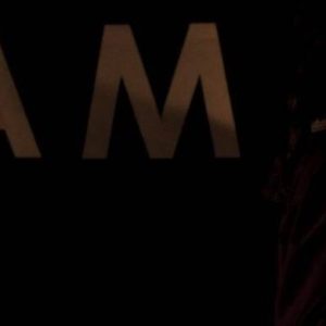 la piccola fiammiferaia