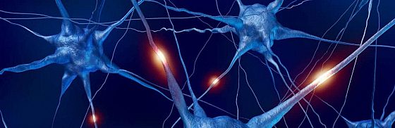 Recensione di Cosa sono i neuroni artificiali? di Nicola Colecchia