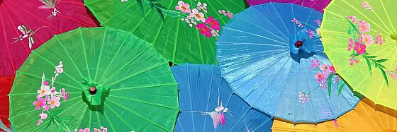 La signora Lana e il segreto degli ombrellini cinesi di Jutta Richter