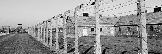 La libraia di Auschwitz di Dita Kraus