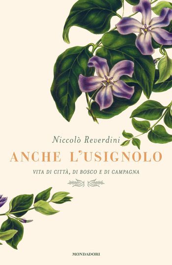 Anche l’usignolo di Niccolò Reverdini Anche l’usignolo di Niccolò Reverdini
