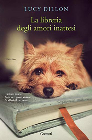 Recensione di La libreria degli amori inattesi di Lucy Dillon Recensione di La libreria degli amori inattesi di Lucy Dillon