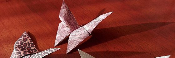 Origami di Sabatina Napolitano